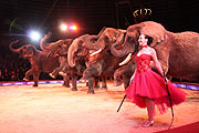Elefanten mit Jana Mandana (FOto: MartiN Schmitz)